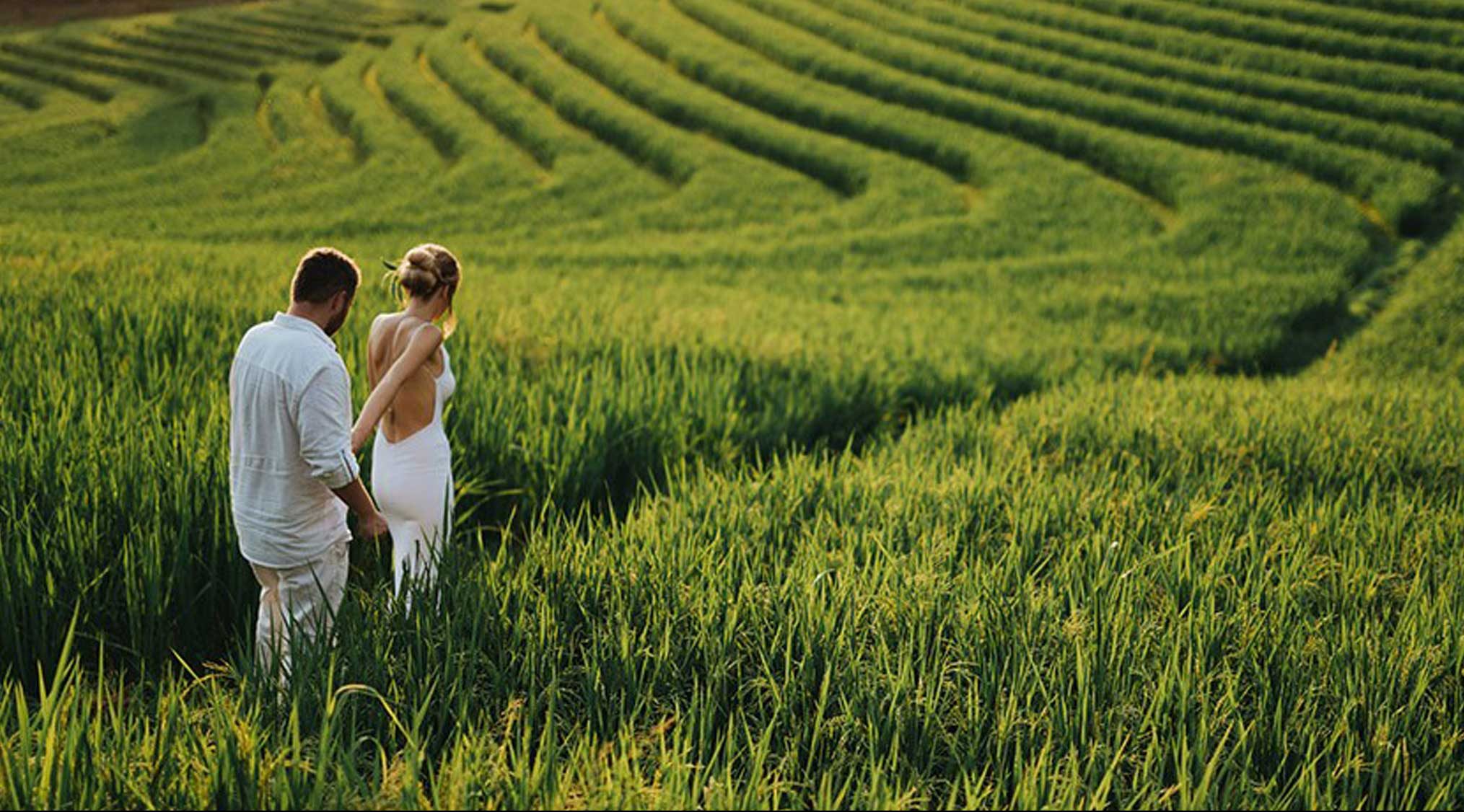 newlyweds walk through rice fields in Bali