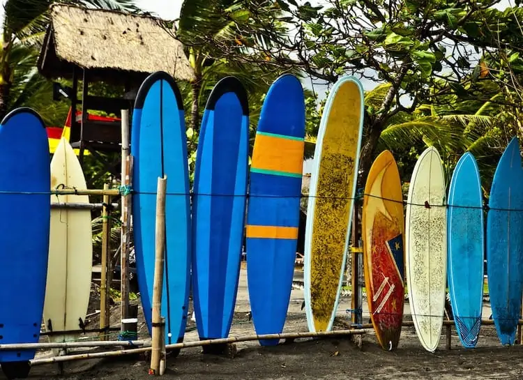 surfboards dry in the sun
