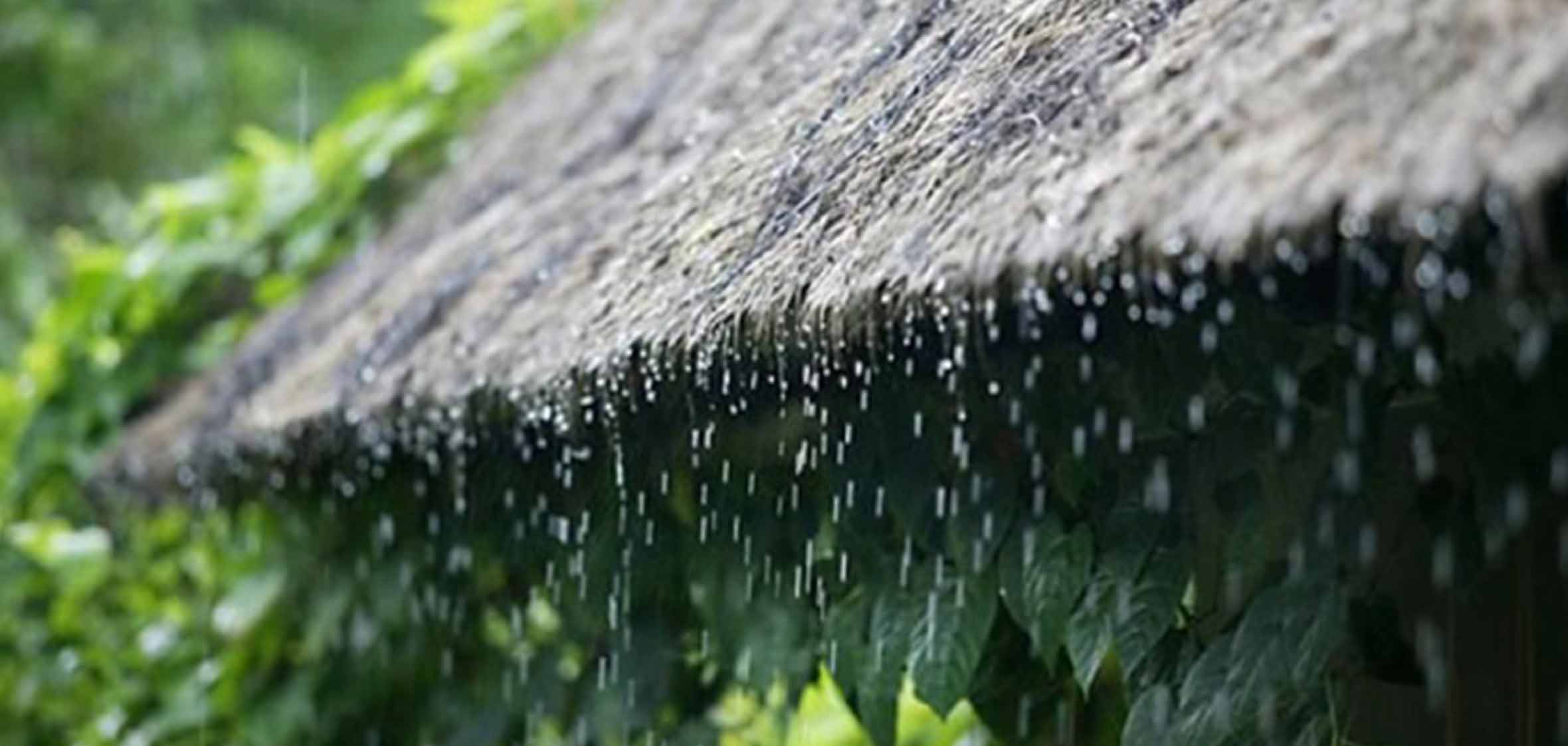 Rain falling from a thatched roof